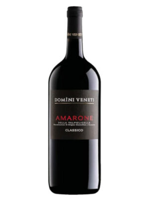 Amarone della Valpolicella DOCG Classico Magnum 2021 - Domini Veneti