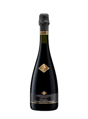 Lambrusco Emilia IGT Secco Ottocento Nero - Albinea Canali