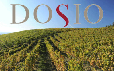 Dosio – Barolo, Langhe e Barbera dal Piemonte