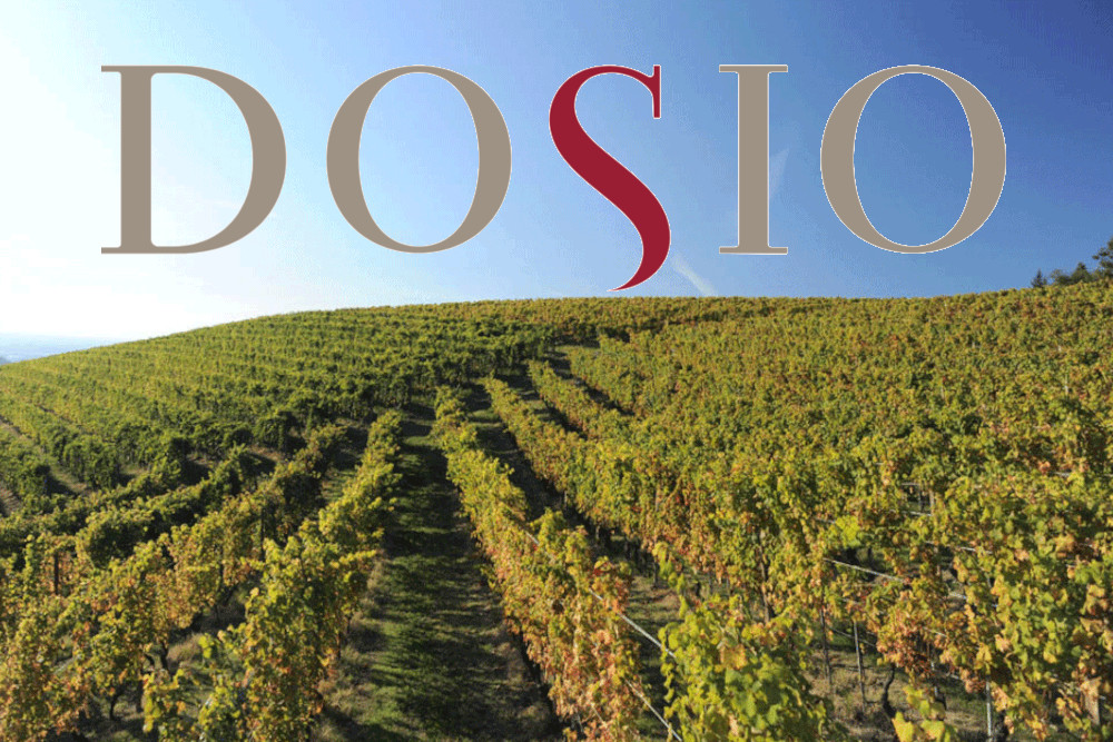 Dosio – Barolo, Langhe e Barbera dal Piemonte