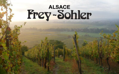 Frey Sohler – Cremant d’Alsace e Vini Bianchi dell’Alsazia