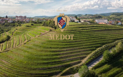 Medot – Metodi Classici dal Brda (Slovenia)