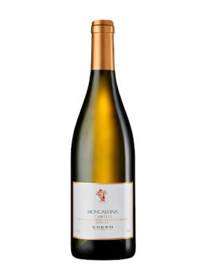 Moncalvina Moscato d'Asti Docg Canelli 2023 - Coppo